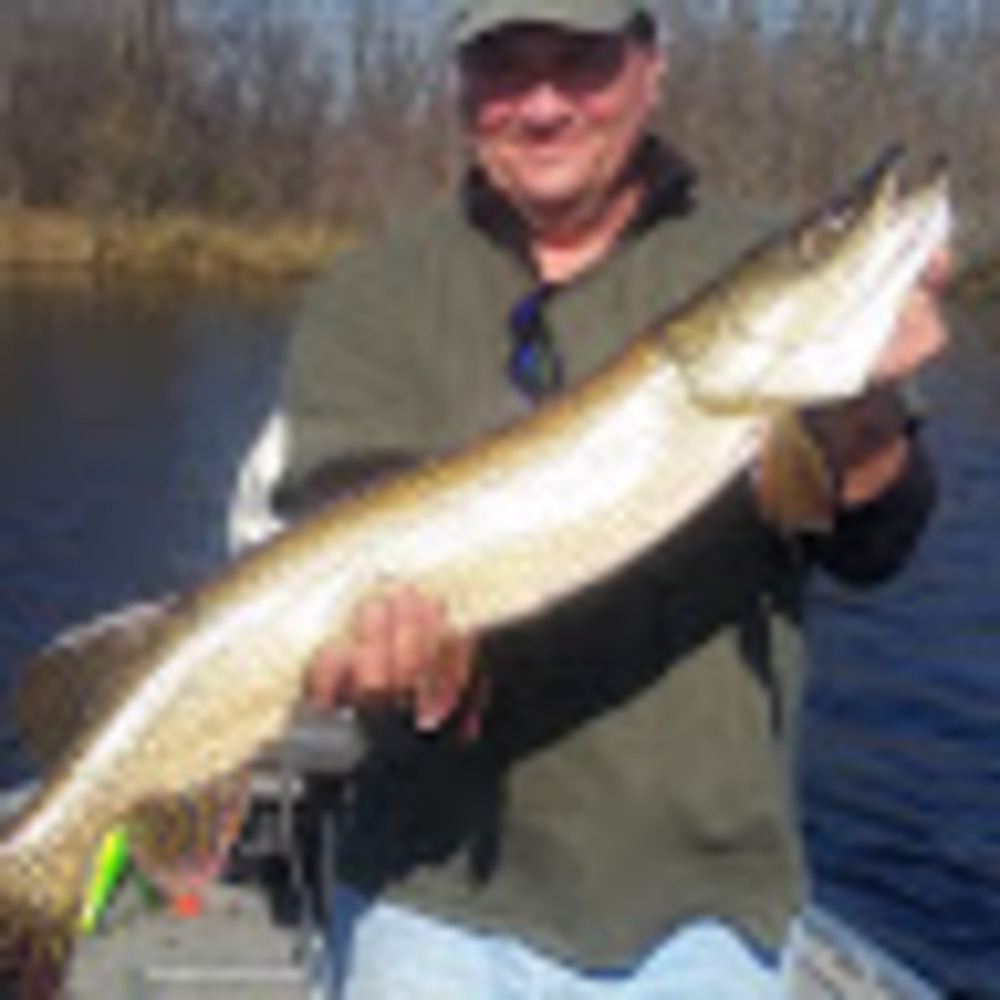 Meet your Posher, Dale